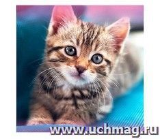 Алмазная мозаика "Котенок"