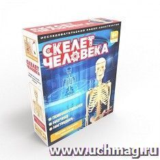 Исследовательский набор "Скелет человека"