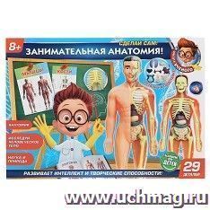 3D - пазл "Тело человека"