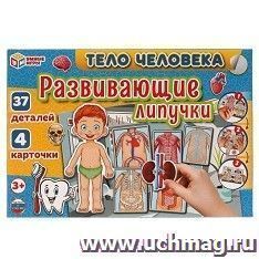 Игра с липучками "Тело человека"